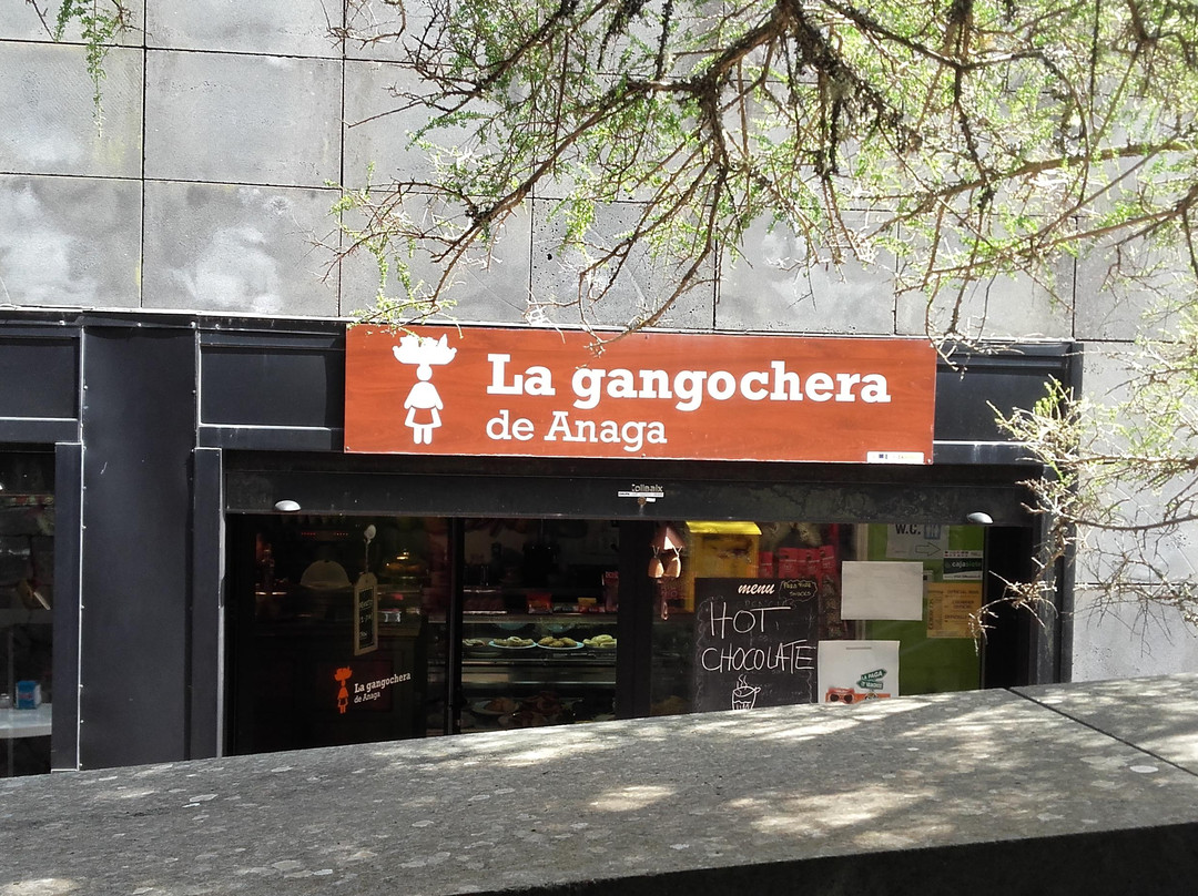 La Gangochera de Anaga
