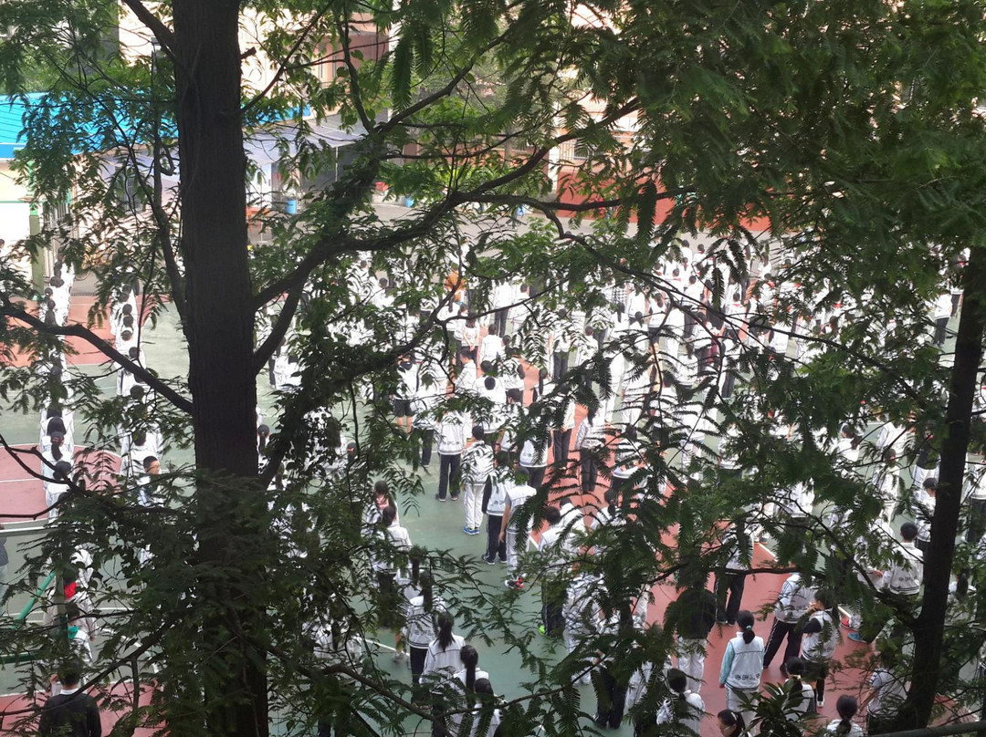 上海布丁虹口足球场店主图