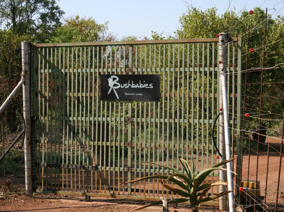 Bushbabies Lodge Dinokeng