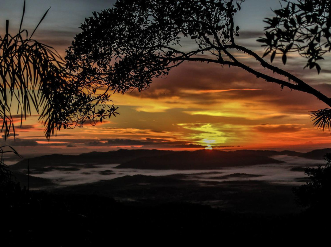 Serra Bonita Reserve-Camacan必去景点