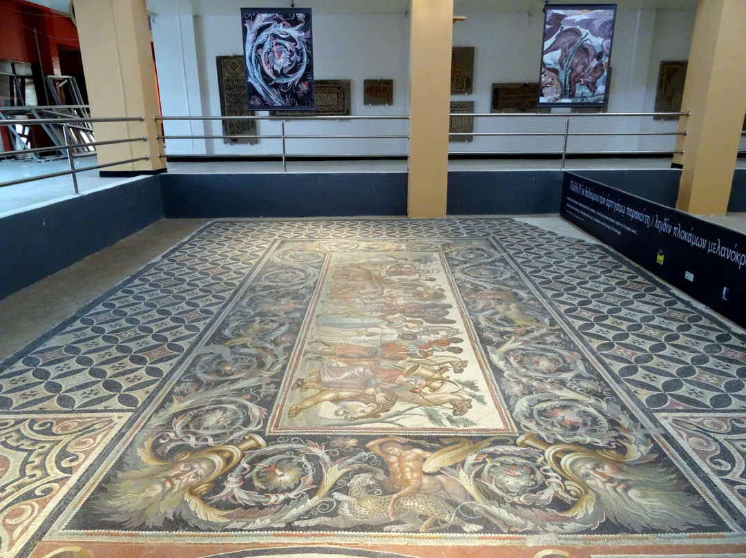 Setif Museum - Musée d'archéologie景点图片