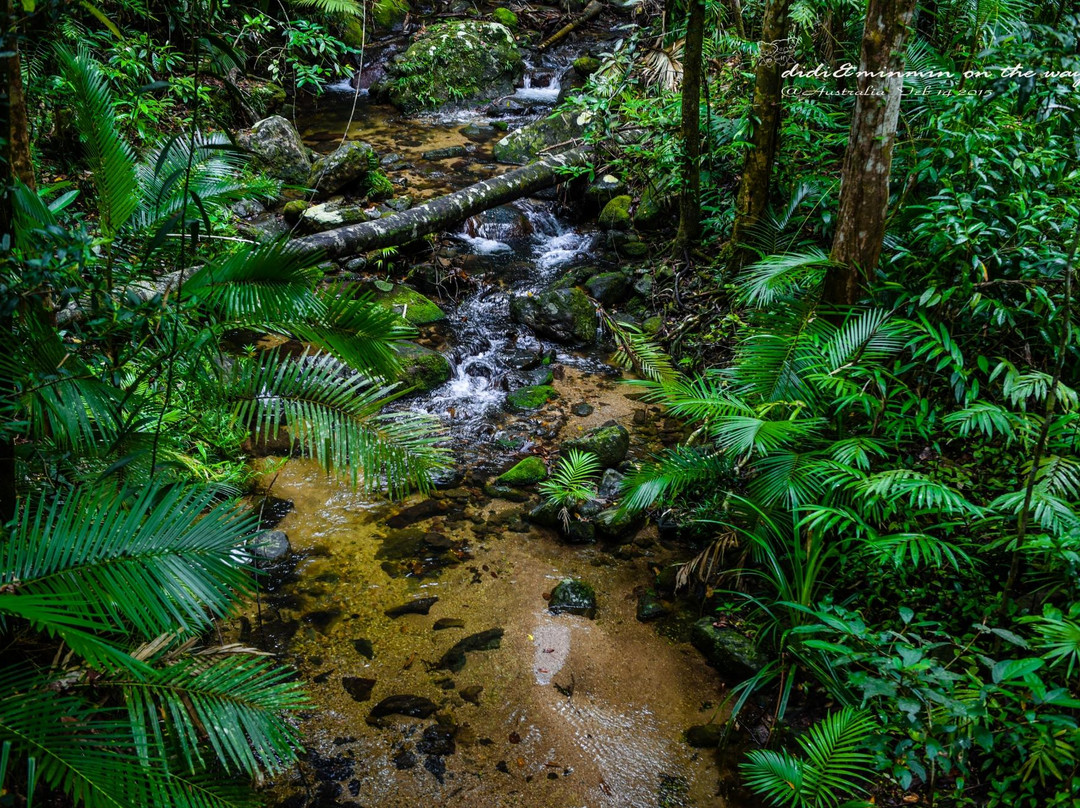 Venture Deeper-Mossman必去景点