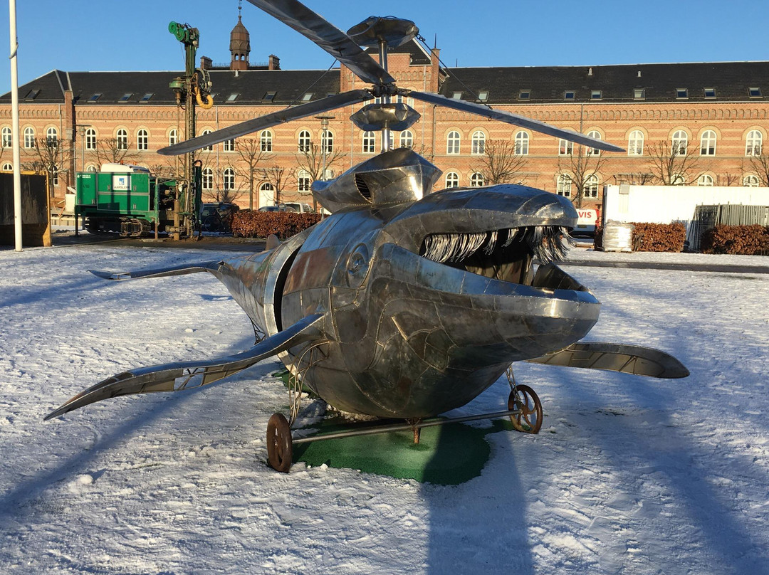 Hval-i-kopter-欧胡斯必去景点