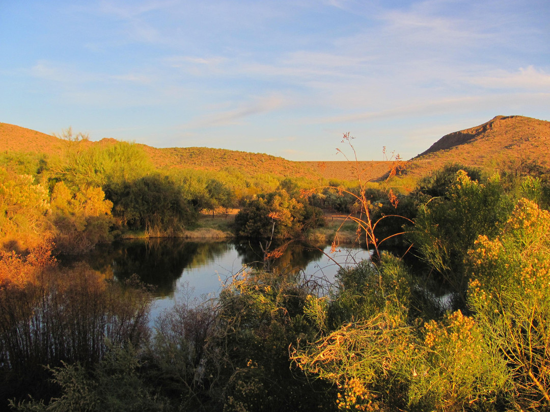 Old West Desert Tours-Queen Creek必去景点
