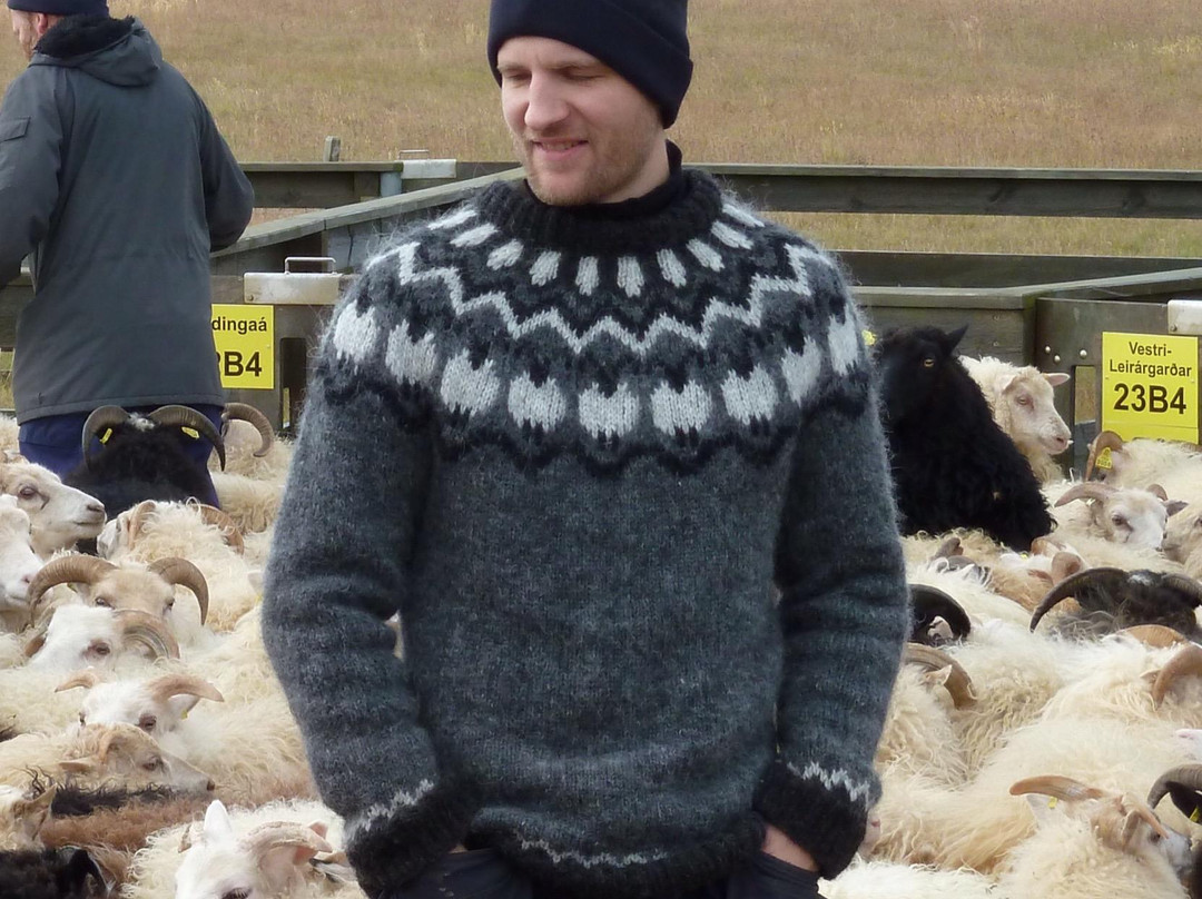 Wild West Tours-Akranes必去景点