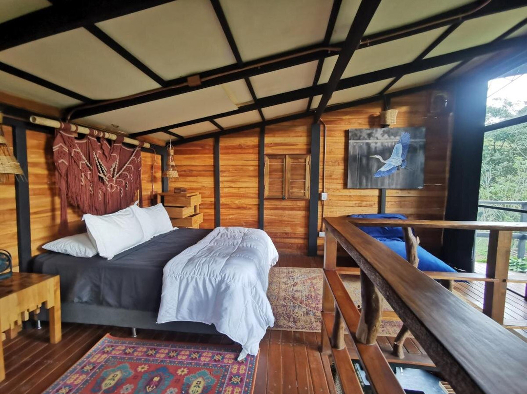 Cerro Tusa Springs主图