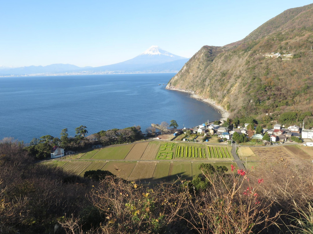 Kirameki no Oka Observation Area景点图片