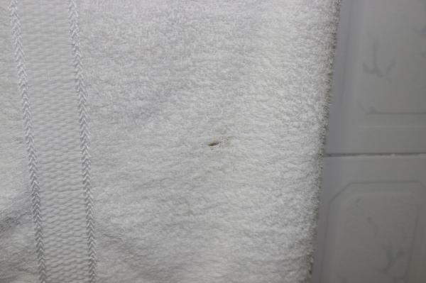 金色三脚架酒店-官方