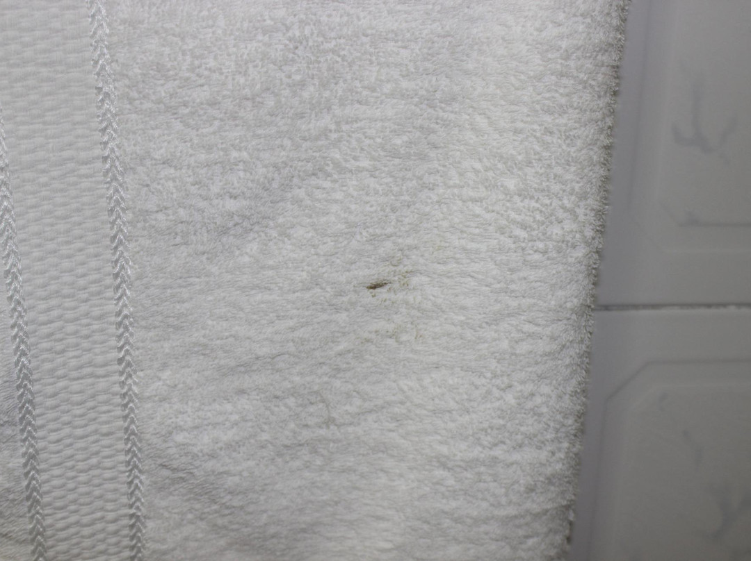 Golden Tripod Hotel主图