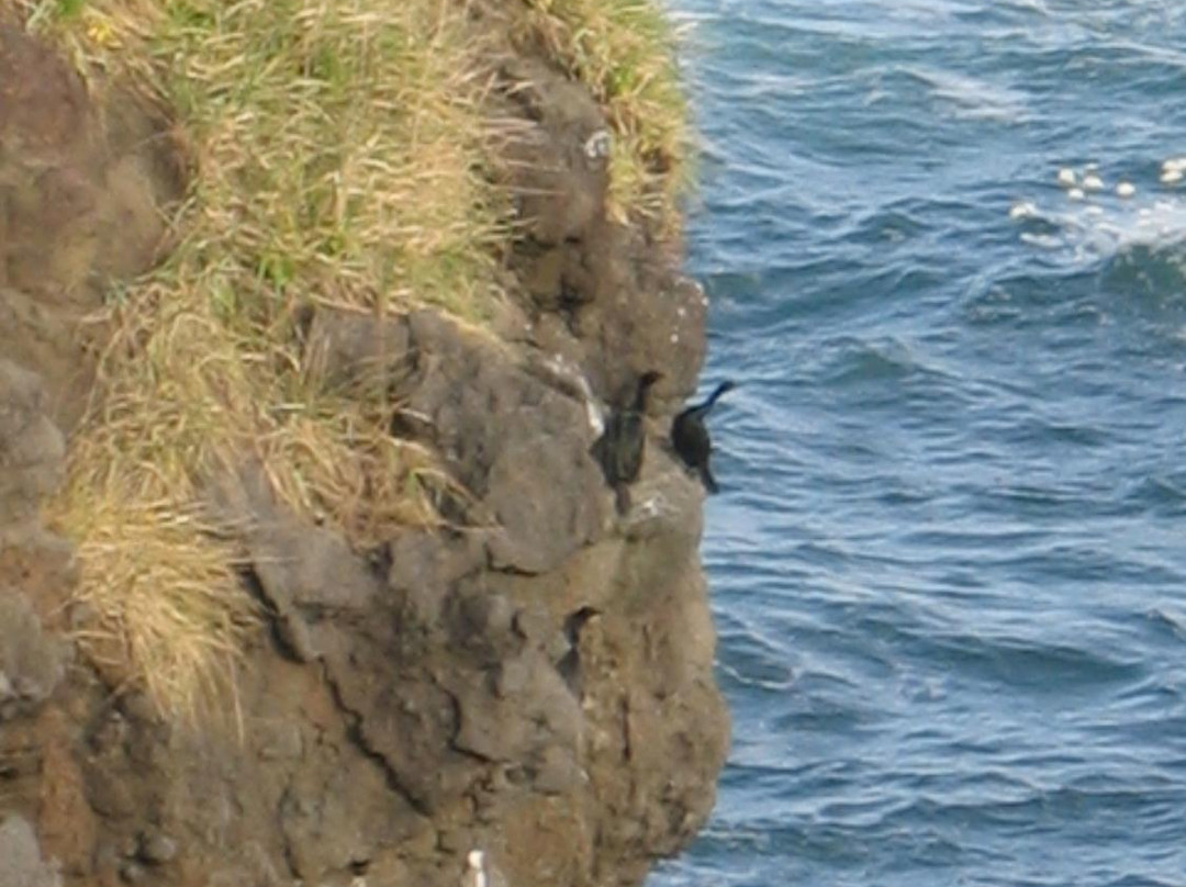 Ochiishi Cape-根室市必去景点