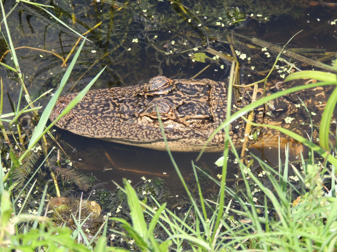Willowbrook Golf Course-温特黑文必去景点
