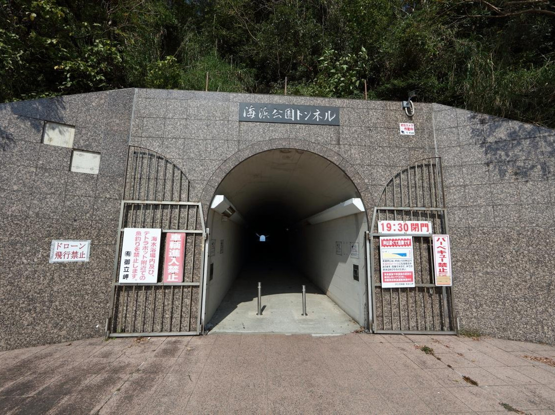 Otakimisaki Park-芦北町必去景点