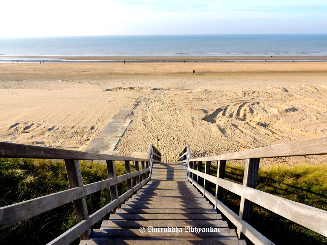 Strand Bloemendaal Aan Zee景点图片