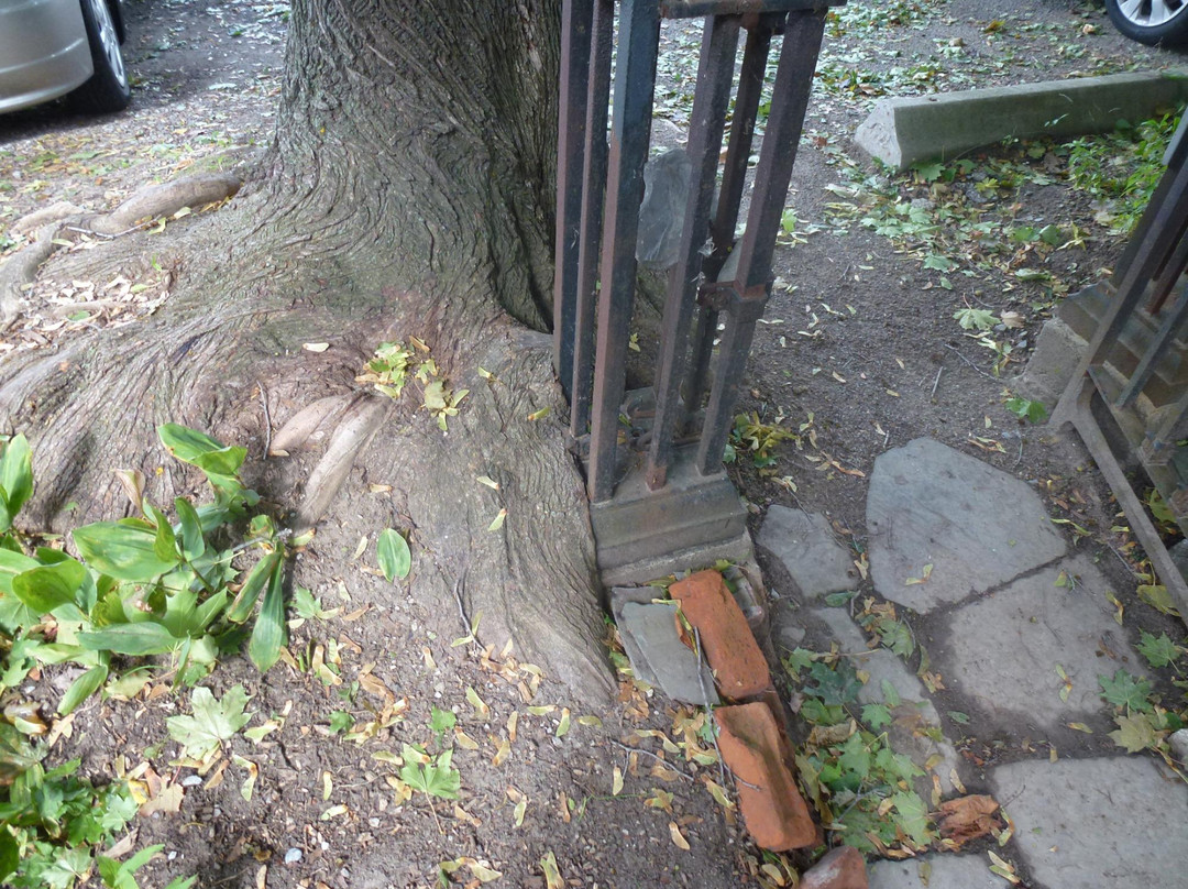 Oakville Museum-奥克维尔必去景点