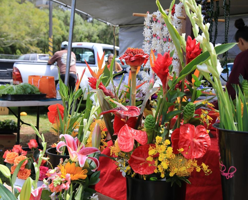 Waimea Homestead Farmers Market-卡慕也拉必去景点