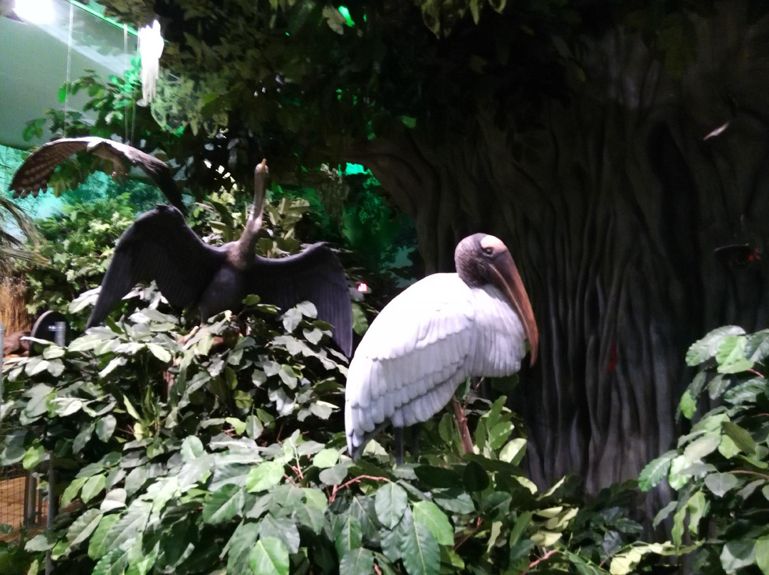 Daggerwing Nature Center-博卡拉顿必去景点