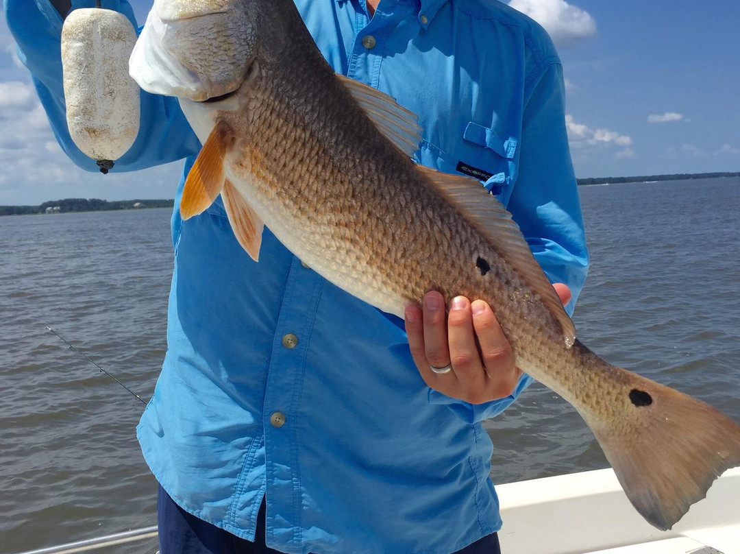 Seas So Shallow Fishing Guide Service-博福特必去景点