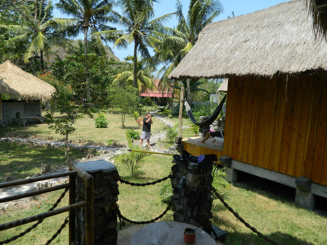 Drop in Surf Lodge