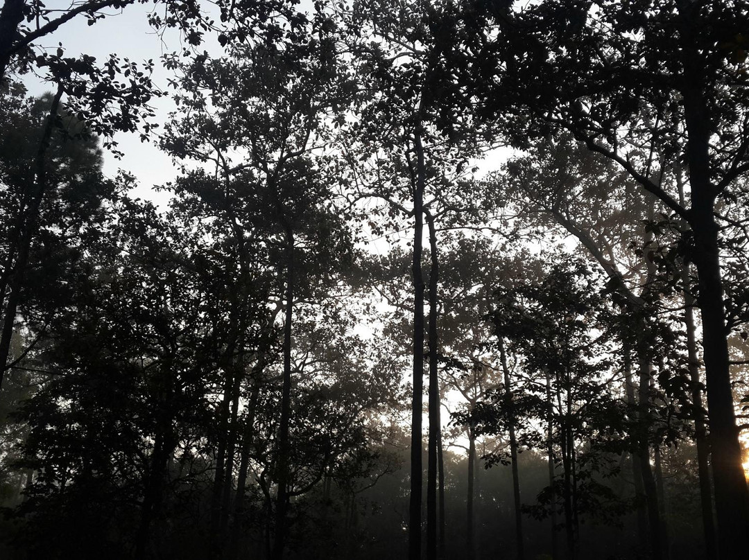 Thung Salaeng Luang National Park景点图片