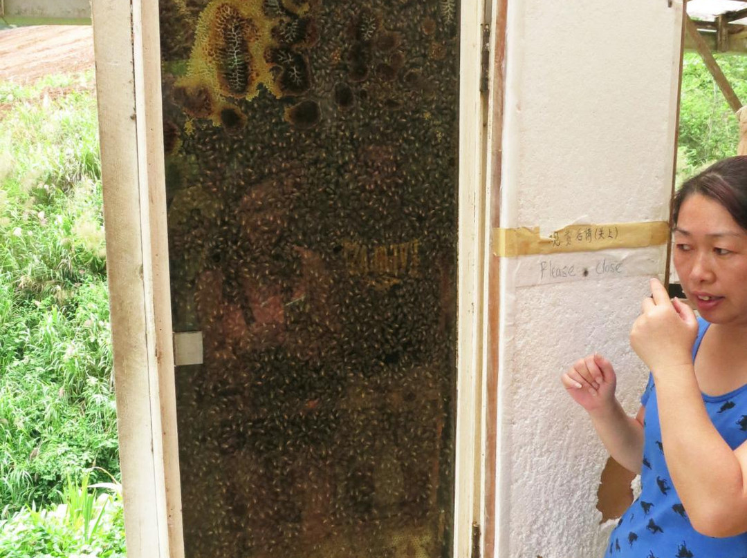 Highlands Apiary Farm景点图片