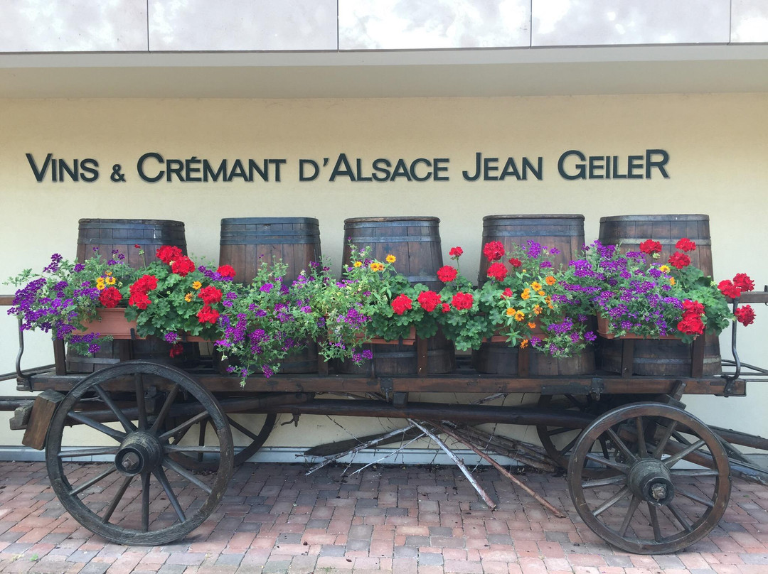 Vignoble Jean Geiler景点图片