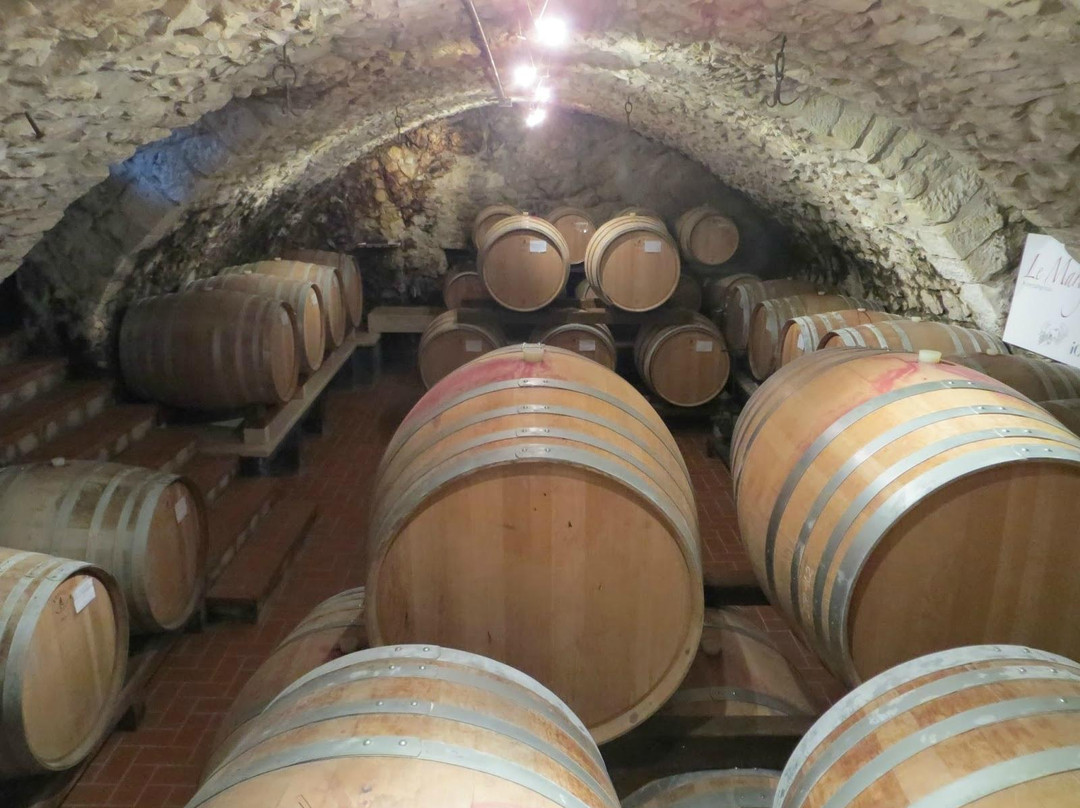 Le Marognole Azienda Agricola景点图片