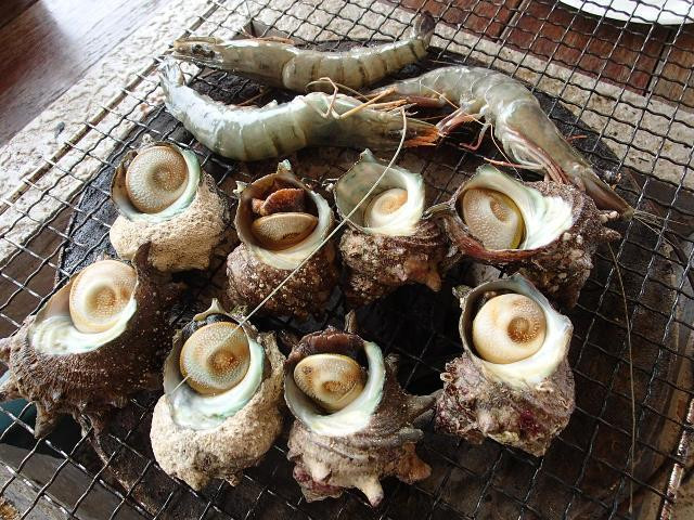 Tairyosenka-唐津市必去景点