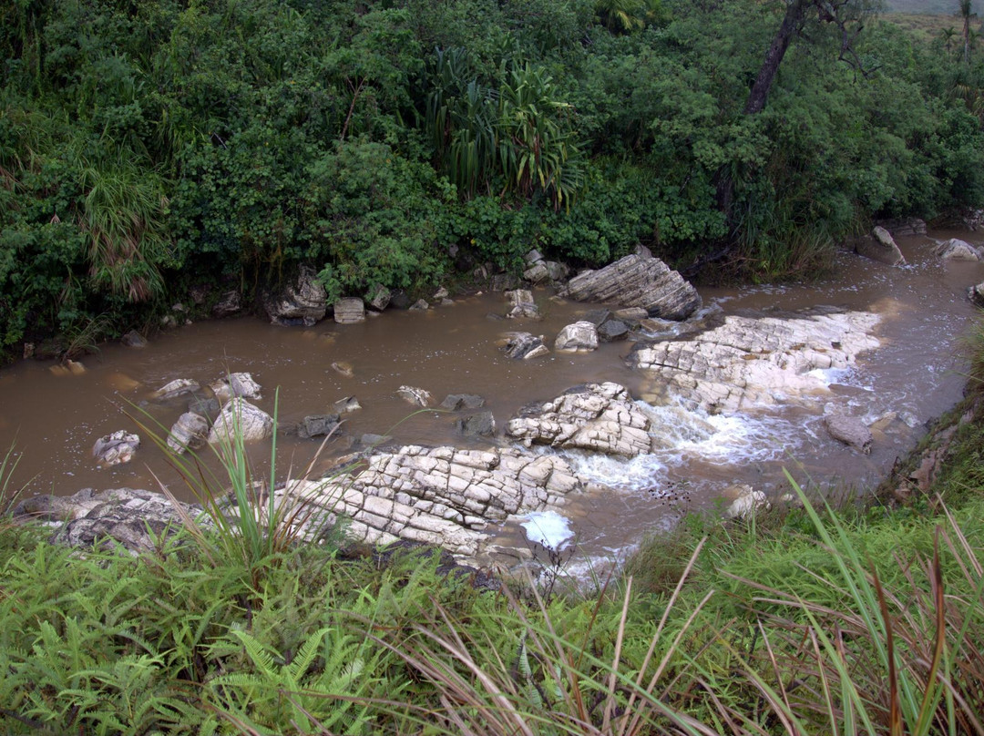 Jungle Rules Adventure Tours-Santa Rita必去景点