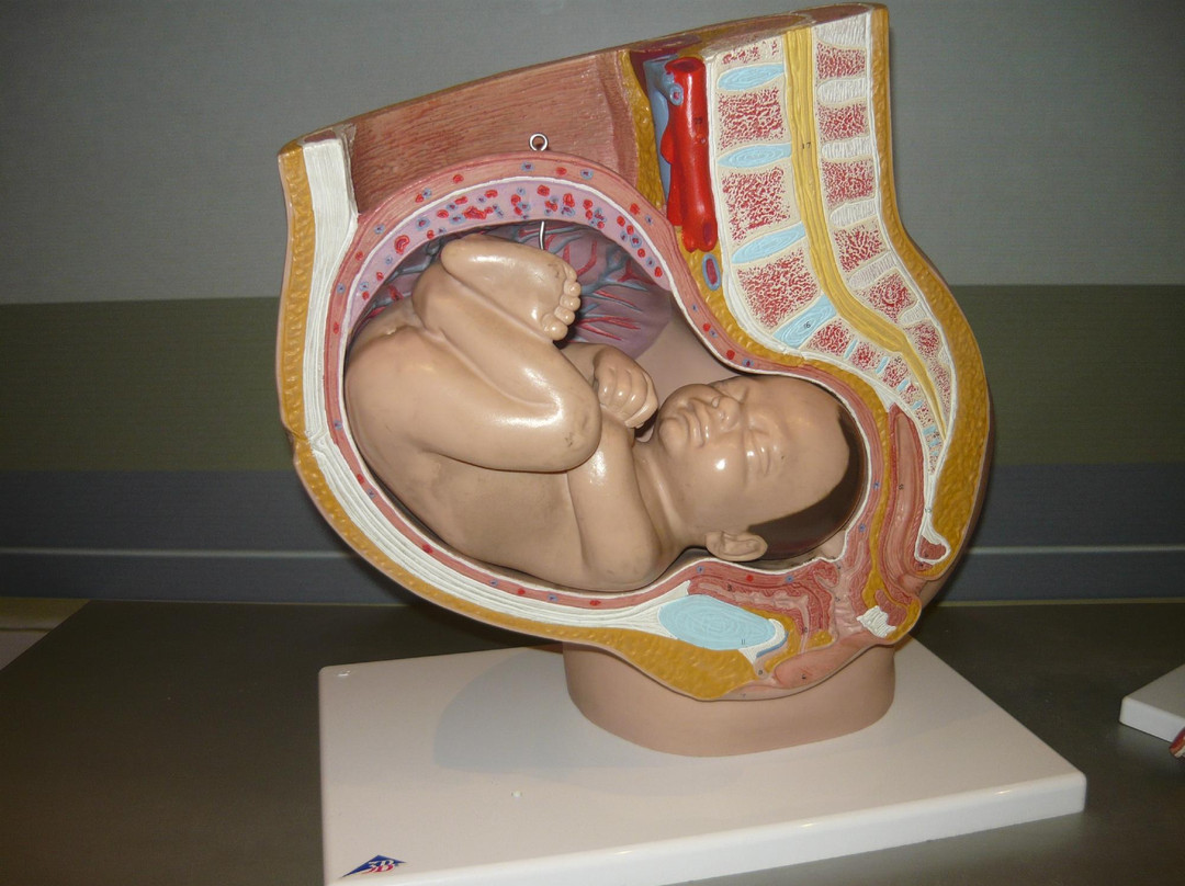 Museo Infantil Trampolín-圣多明哥必去景点