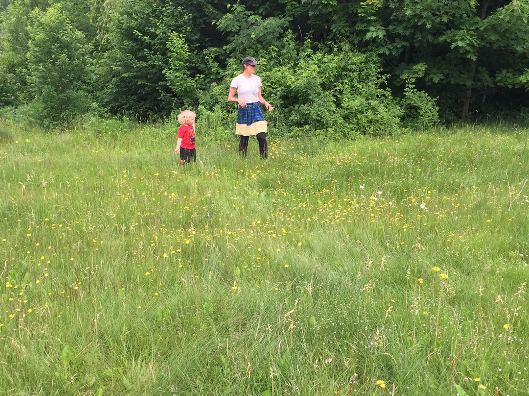 Remember Adventures-Tatamagouche必去景点