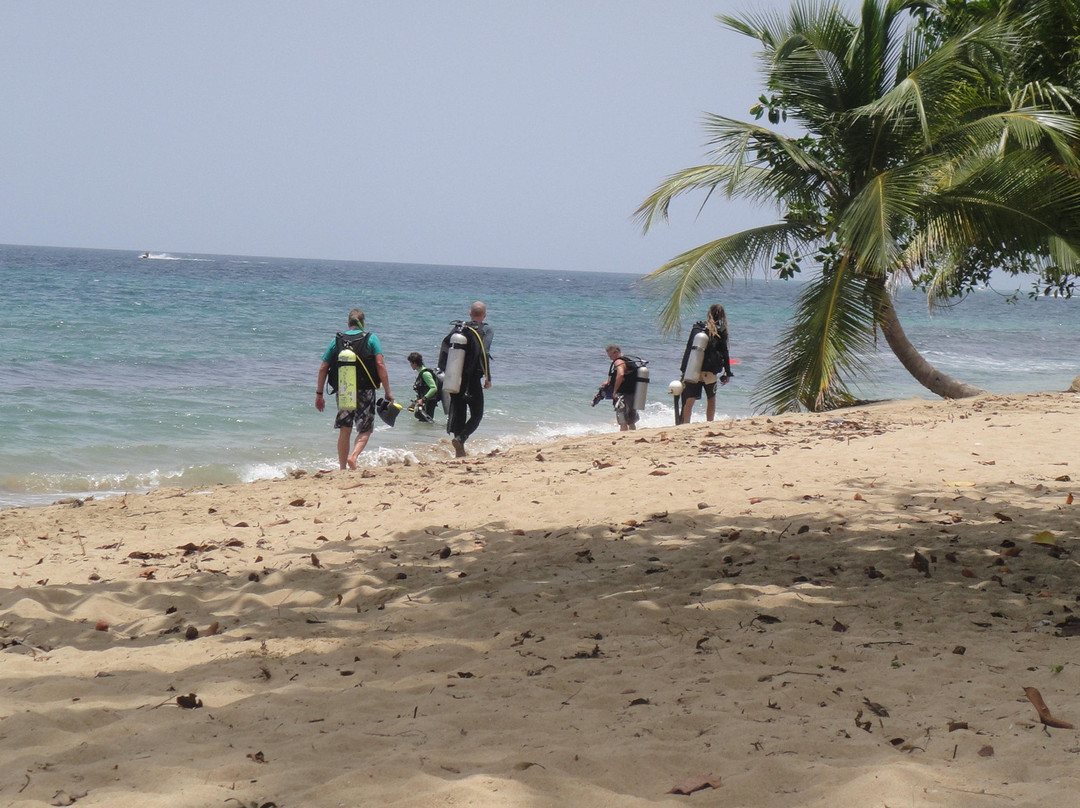 Rincon Diving & Snorkeling-吕康必去景点