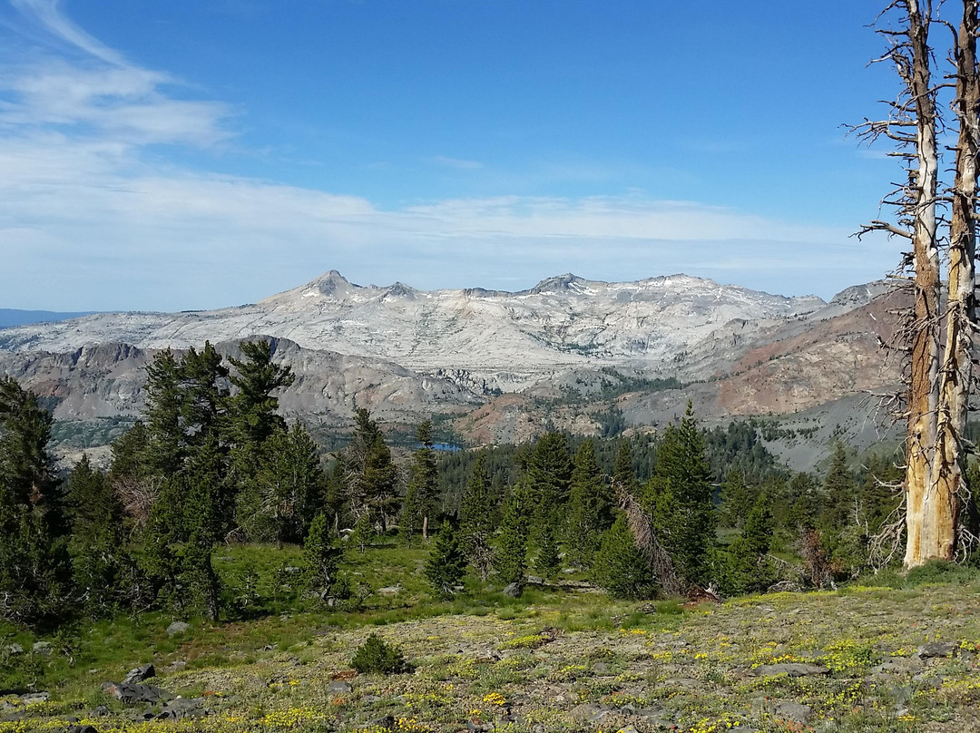 Mt. Tallac Trail-南太浩湖必去景点