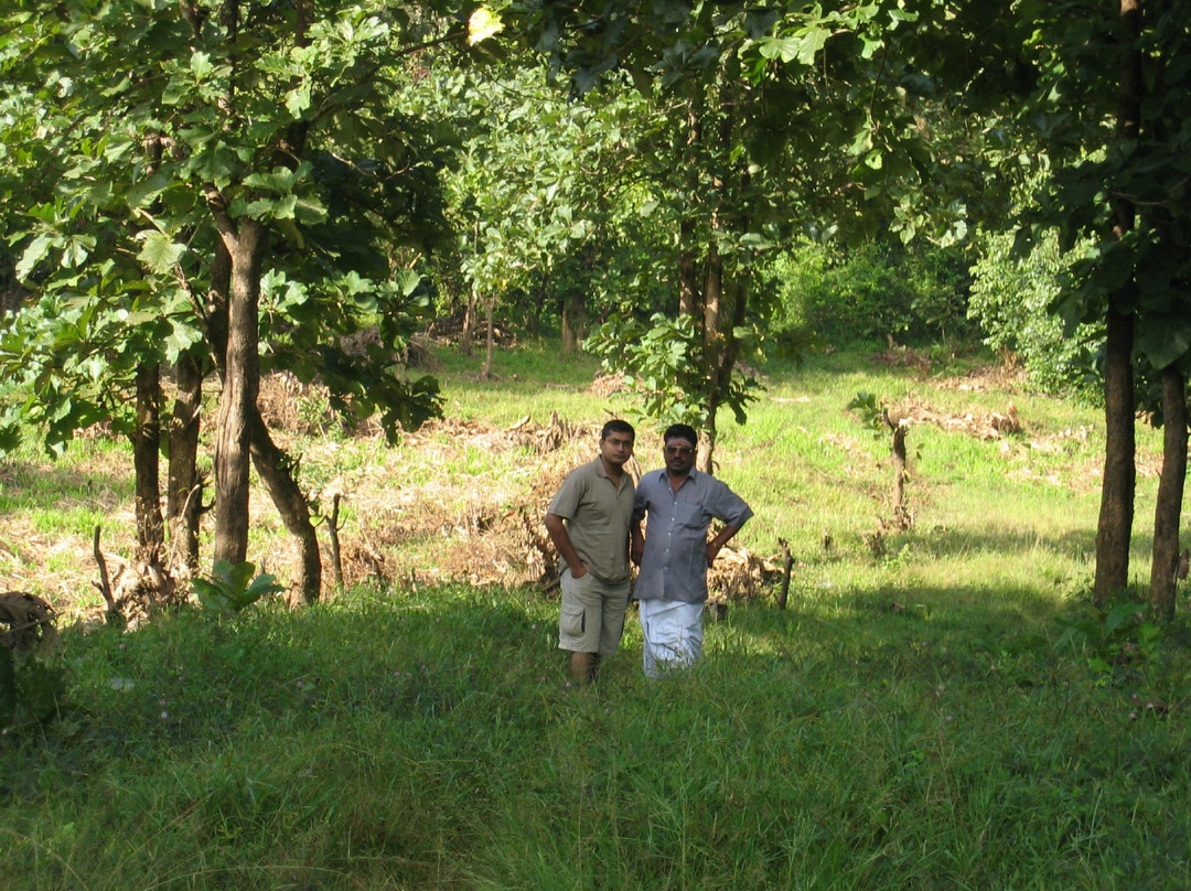 Parambikulam Tiger Reserve-Palakkad必去景点