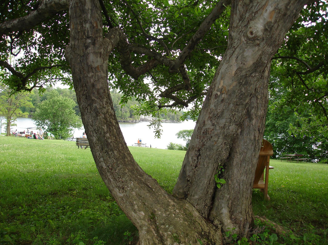 Kingsland Bay State Park-Ferrisburgh必去景点