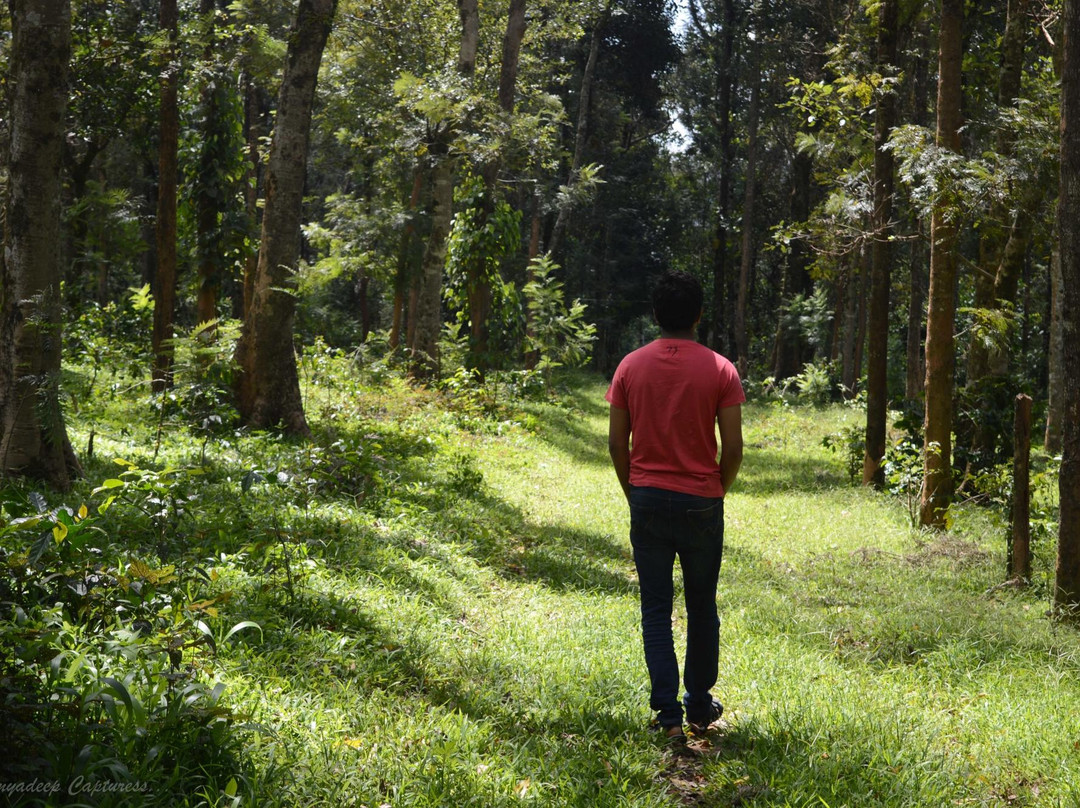Karthik Estate Cottages主图