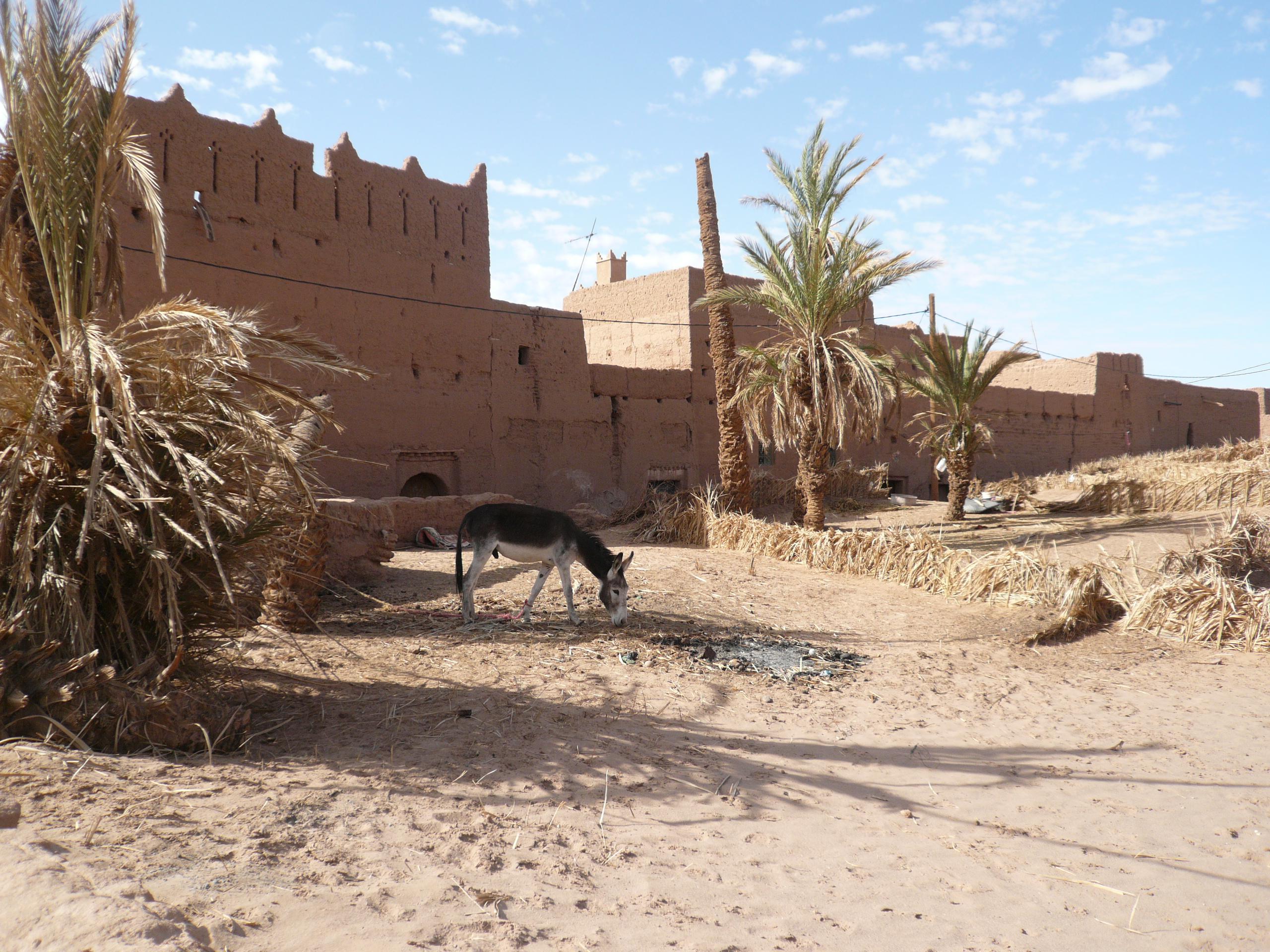 Auberge Kasbah Touareg-客卧