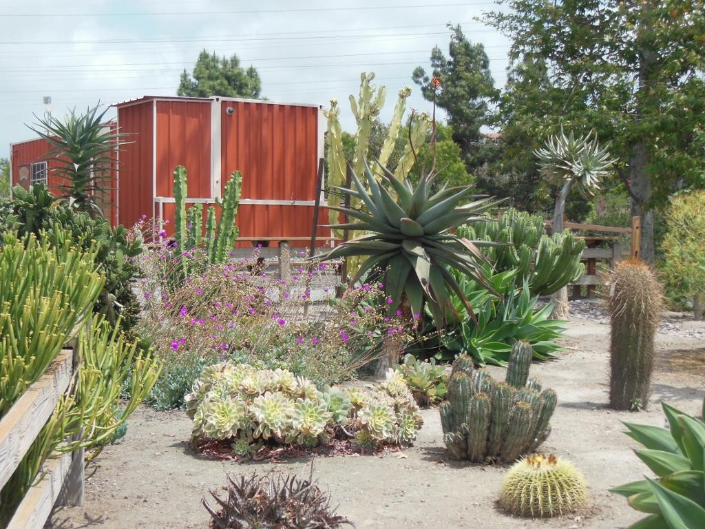 Rice Canyon Trail-丘拉维斯塔必去景点