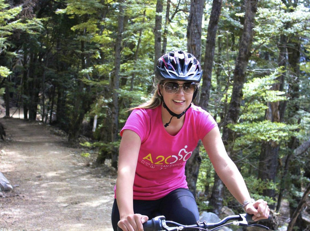 Alps 2 Ocean Cycle Trail-奥马鲁必去景点