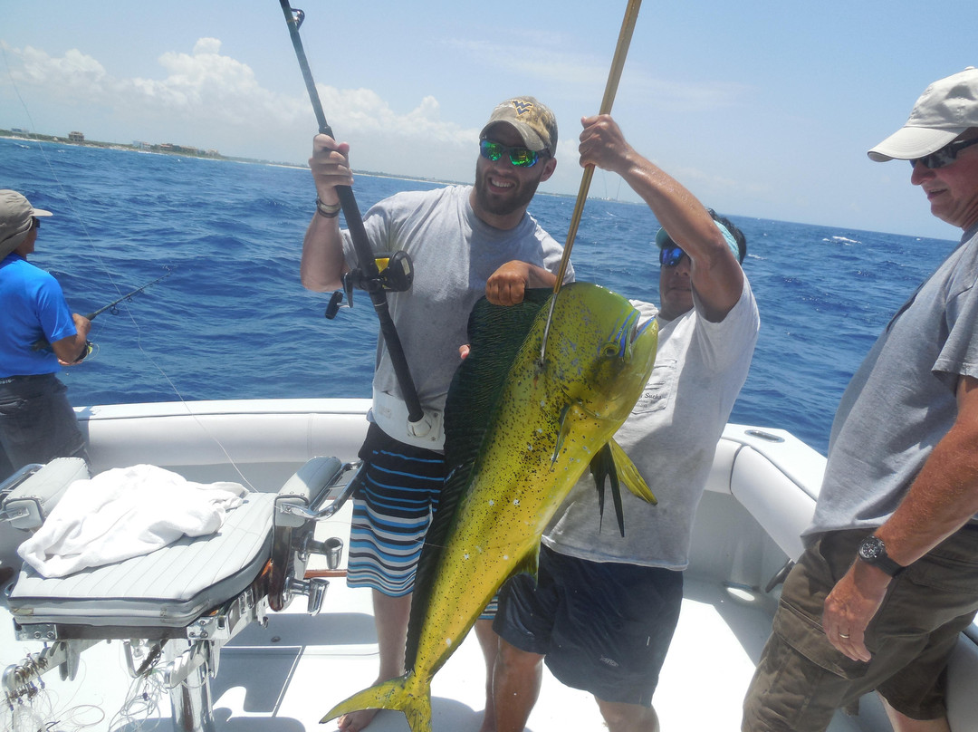 Poverty Sucks Fishing-阿范特拉斯港必去景点