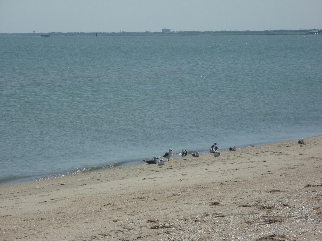 North Beach-科珀斯克里斯蒂市必去景点