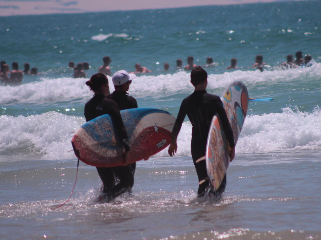 Surf-Jbay Surf School景点图片