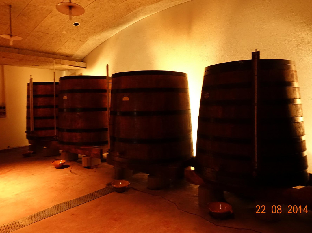 Distillerie Louis Roque-Souillac必去景点