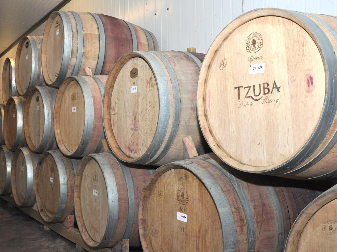 Tzuba Winery-耶路撒冷必去景点