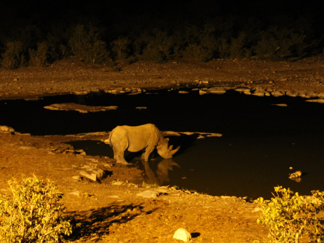 Chameleon Safaris-温德和克必去景点