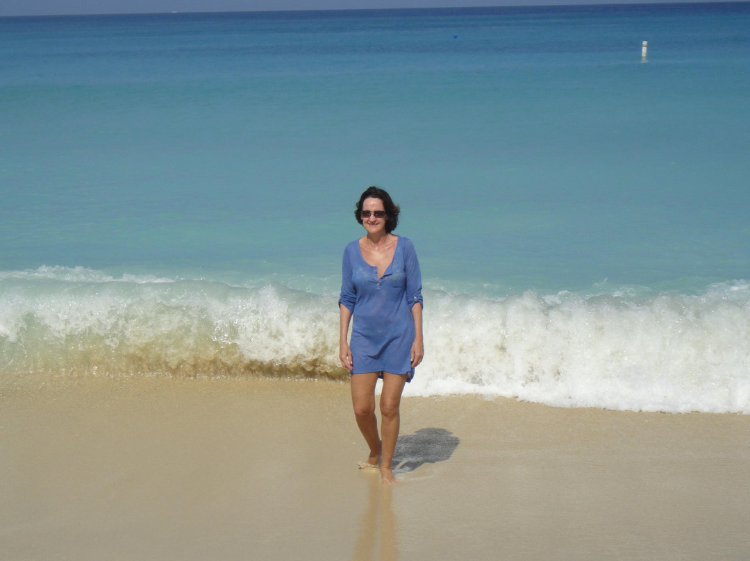 Playa Blanca-Isla Baru必去景点