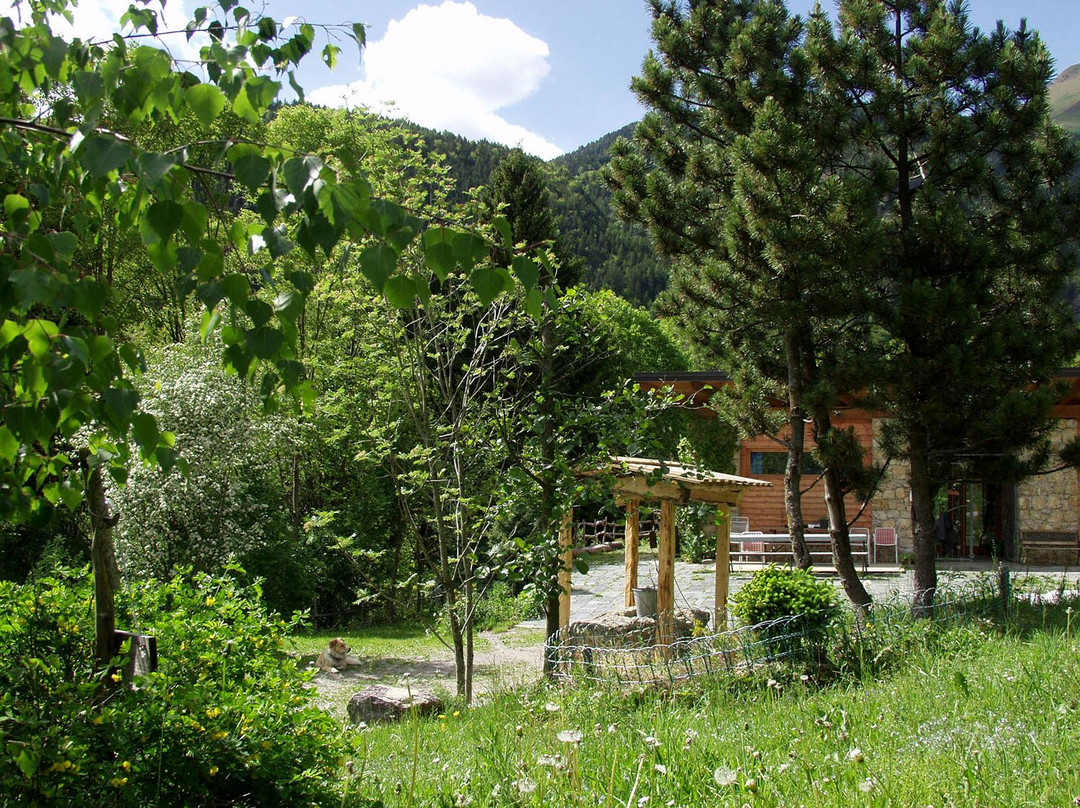 Arboreto Alpino Gleno景点图片