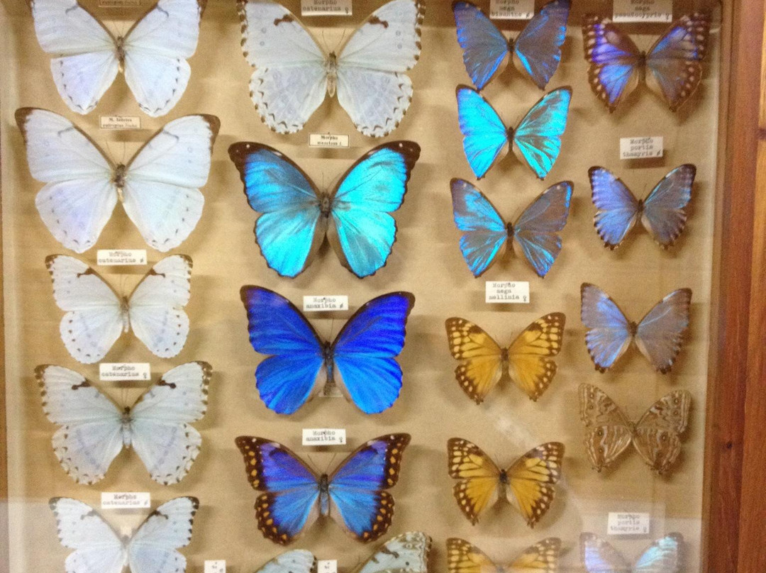 Museu Entomológico Fritz Plaumann-Seara必去景点