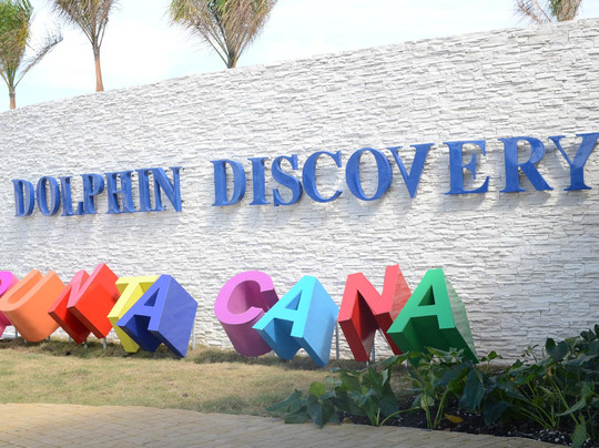 Dolphin Discovery Punta Cana-Higuey必去景点