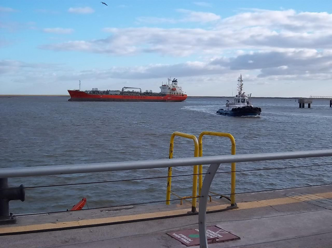 Ria de Bahia Blanca-Bahia Blanca必去景点