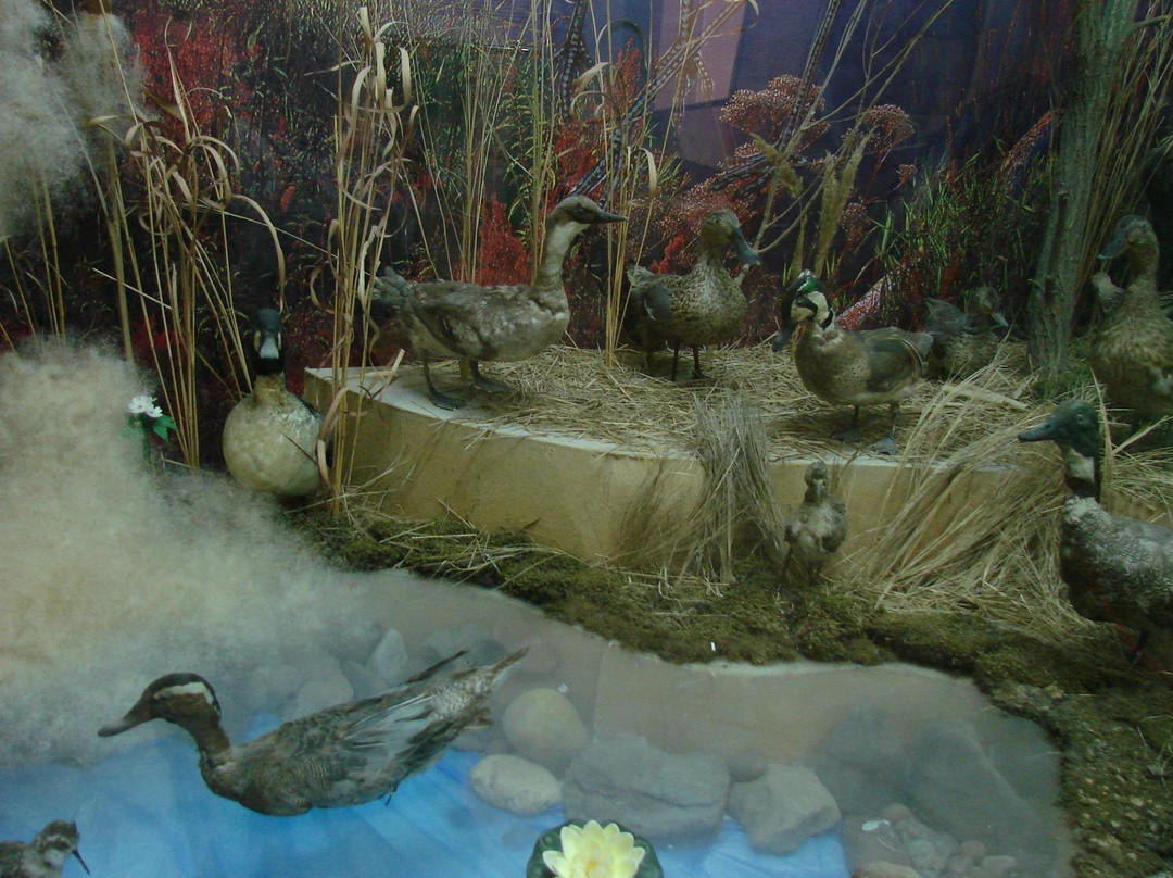 Museum of Local Lore-Belogorsk必去景点